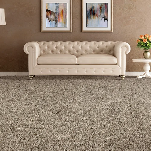 CC Carpet providing stain-resistant pet proof carpet in Bedford, Mesquite, & Richardson, TX