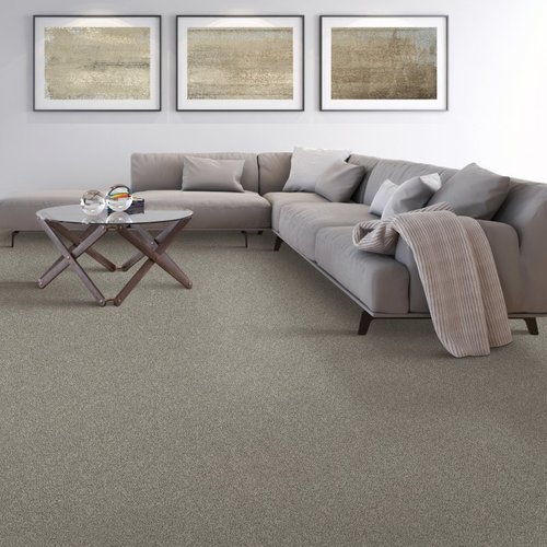 CC Carpet providing stain-resistant pet proof carpet in Bedford, Mesquite, & Richardson, TX - Stonington Manor II