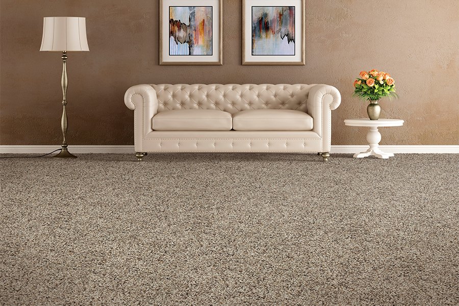 Why is carpet still popular?