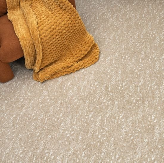PETPremier carpet in a cozy home