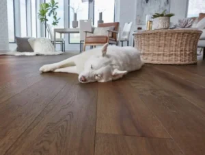 The Best Engineered Flooring for Homes With Pets - CC Carpets Blog