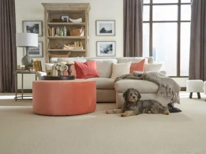 Choose the most durable carpet for your home - CC Carpet Blog