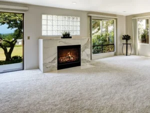 how to protect your carpet - blog post
