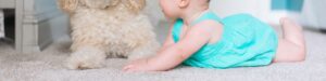 Pet Friendly Baby on the Carpet